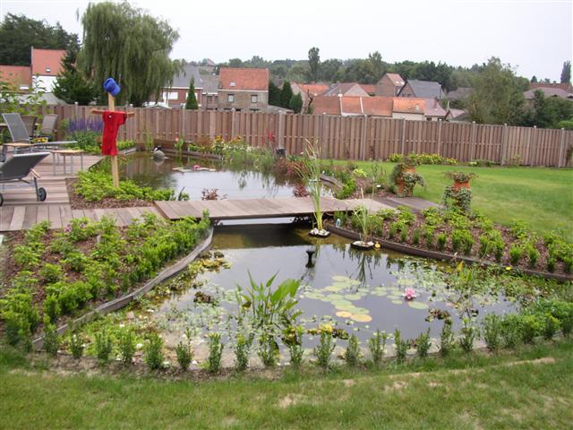 Vijver2.jpg